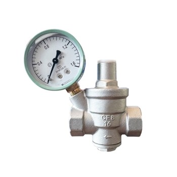 2" Spring Loaded Pressure Relief Valve, DN50 2" Spring Loaded Pressure Relief Valve, DN50