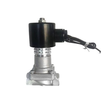 Steam Solenoid Valve, NPT, Stainless Steel, DC 12V/24V